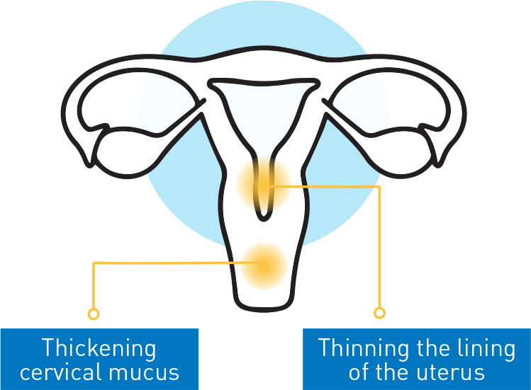 Taking Balcoltra causes thinning the lining of the uterus and thickening cervical mucus.